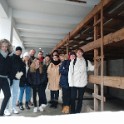 IMG_20211206_103610