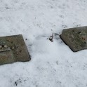 IMG_20211206_104533
