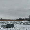 IMG_20211206_104720
