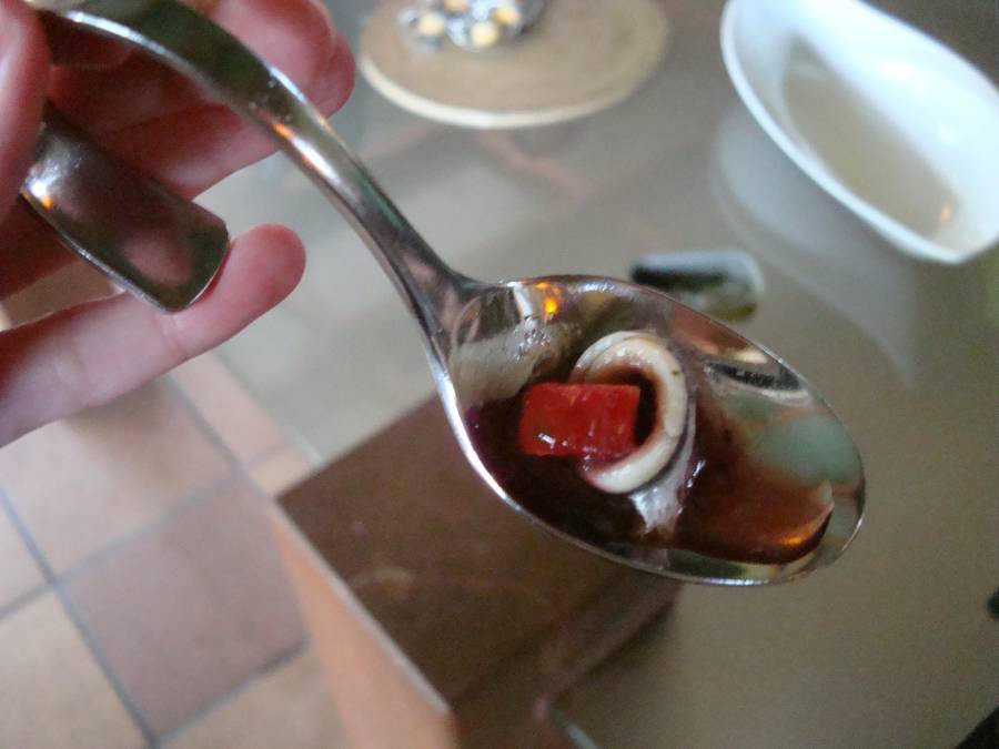 chobotnice.jpg