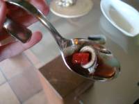chobotnice