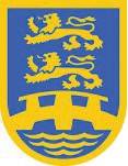 bdn-logo.jpg