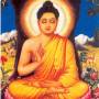 buddha.jpg