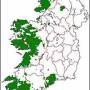 gaeltacht1.jpg