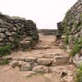 img_7970a.jpg