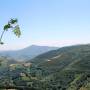 img_8494a.jpg
