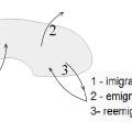 typy_migrace.jpg