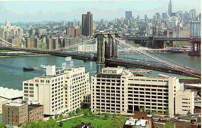 Brooklyn