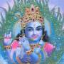 krisna.jpg