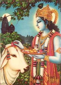 krsna.jpg