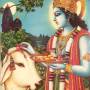 krsna.jpg