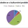kulturni_problemy.jpg