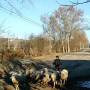 moldavie1-2.jpg