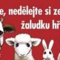 prosime_nedelejte_si_ze_sveho_zaludku_hrbitov.jpg