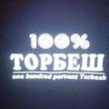 100_.jpg