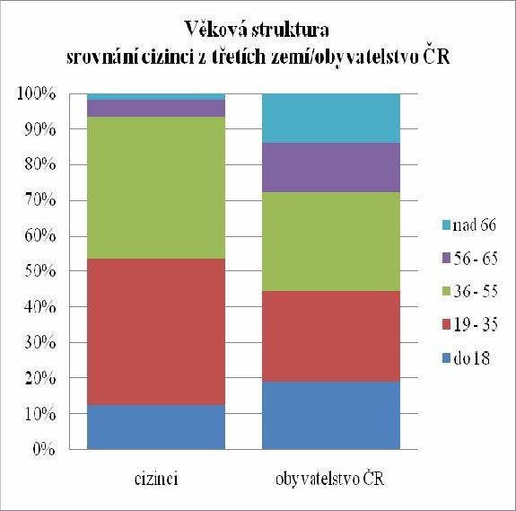 vekovastrukturacizincu.jpg