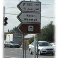 zidi5.jpg