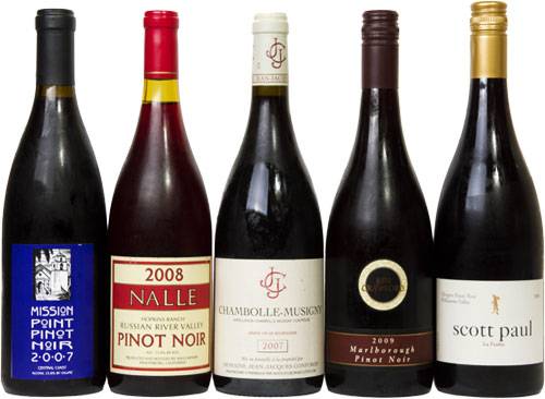 20110616-pinot-noir-bottles.jpg