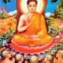 7_buddha.jpg