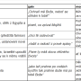 triduum_final_final.png