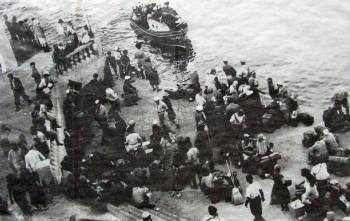 In Beirut werden wir zurück auf die Frossoula geschickt