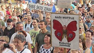 babisuv-motyle_galerie-980.jpg