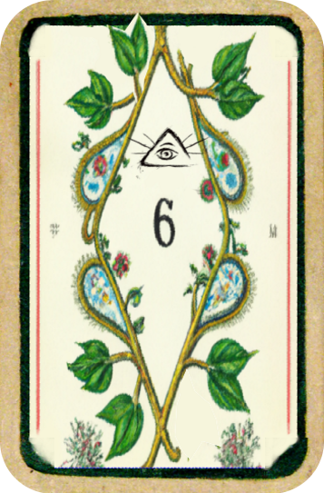 6.png