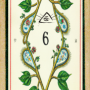6.png