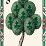 8a.png
