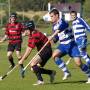 shinty.jpg