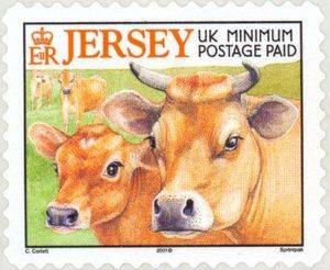 jersey-cow.jpg