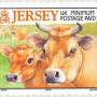 jersey-cow.jpg