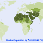 world_muslim_population_map.png