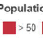 papulace_2.png