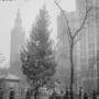 vanocni_stromecek_na_madison_square_v_roce_1912.jpg