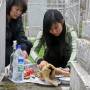 hansik_blog-752x440.jpeg