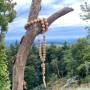img-20220914-wa0069.jpg