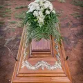 dsc00618.jpg.webp