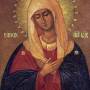 mediatrix-upr-men-vz-2.jpg