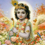krisna.png